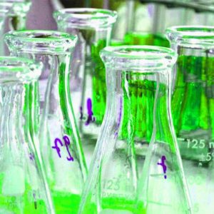 migliori semi cannabis